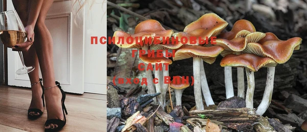 спайс Козельск