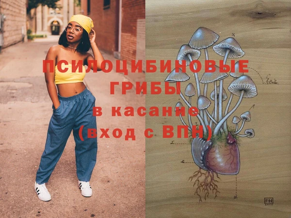 apvp Кодинск